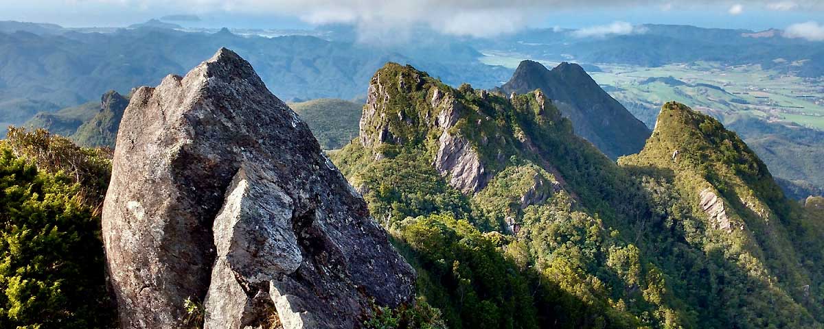 The Pinnacles in Kauaeranga Valley