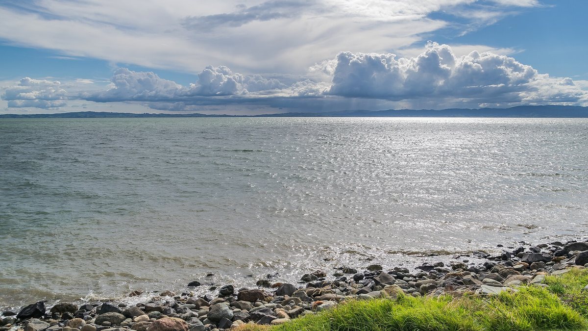 The Firth of Thames, seen from the shoreline near Thames