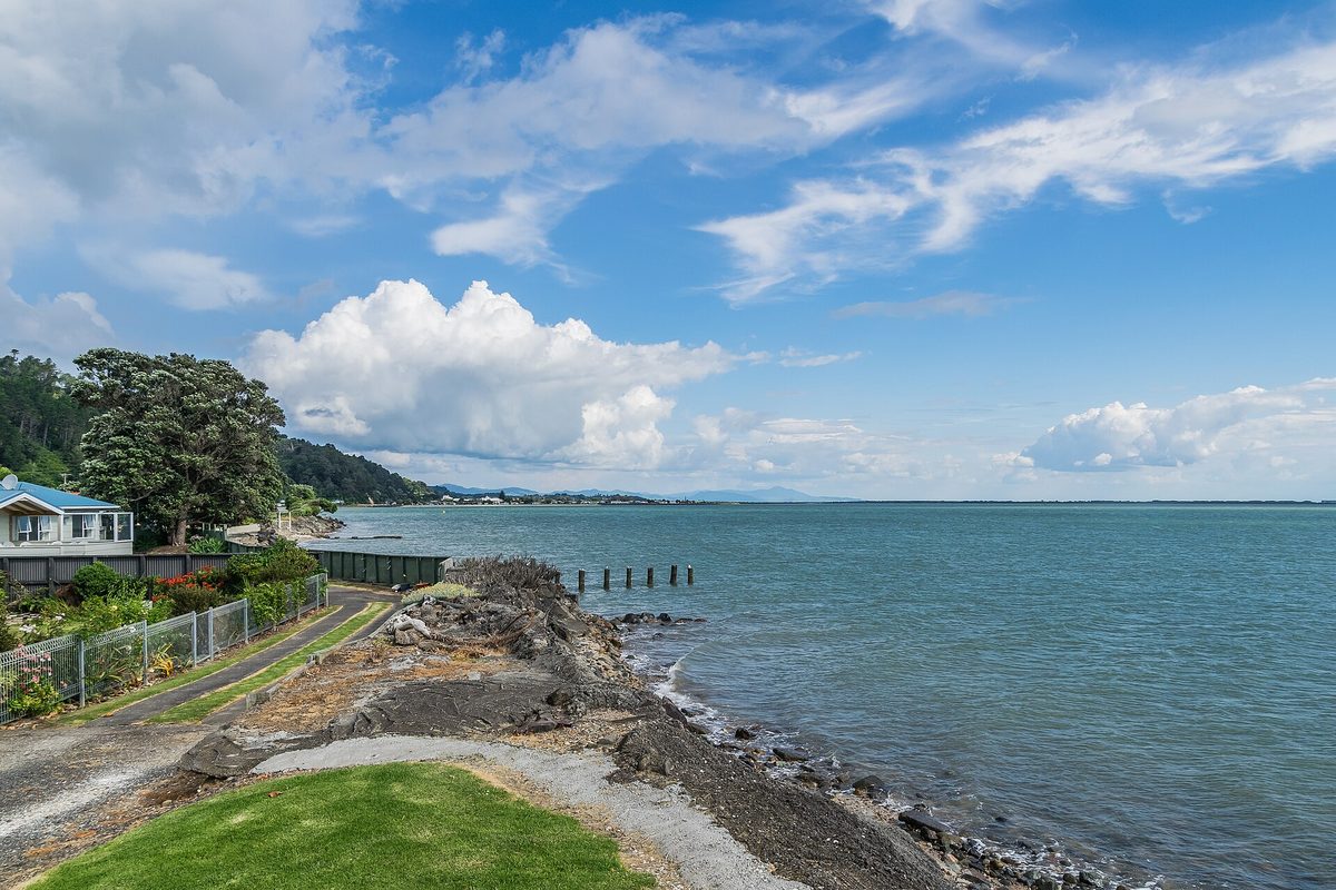 The shore of the Firth of Thames near the town