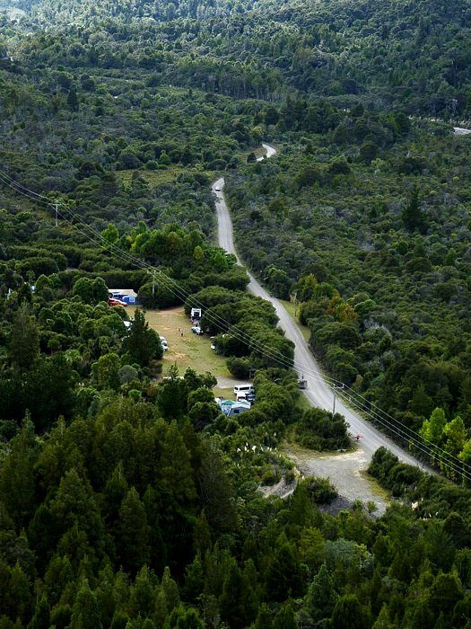 Camping and native forest in the Kauaeranga Valley near Thames