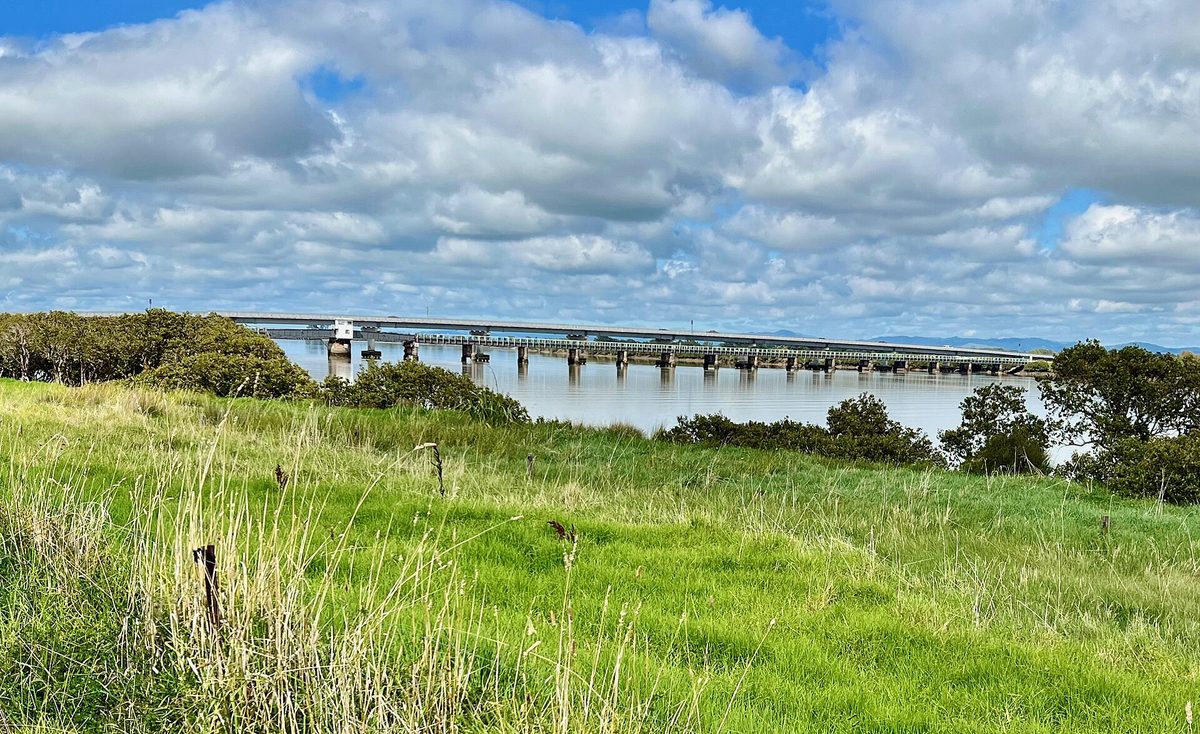 The Kopu bridge over the river seen from the Hauraki Rail Trail near Thames