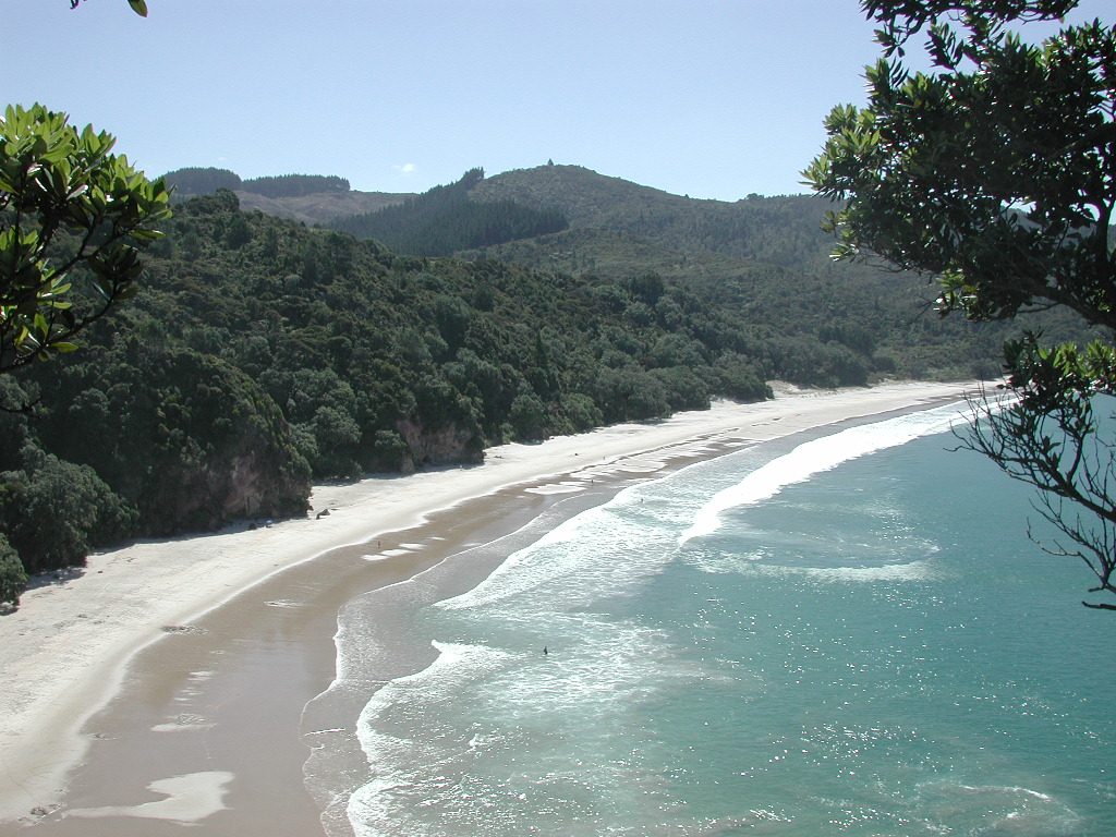 Golden sand and clear water at New Chums Beach on the Coromandel