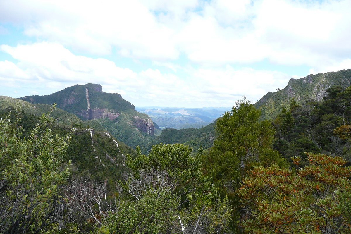 Native bush and steep volcanic bluffs seen from the track near Pinnacles Hut