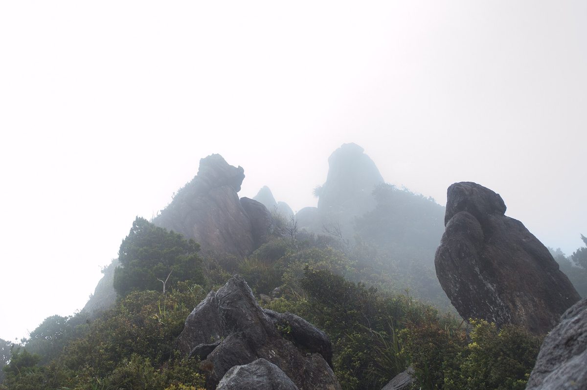 The Pinnacles rock formations in the Kauaeranga Valley near Thames