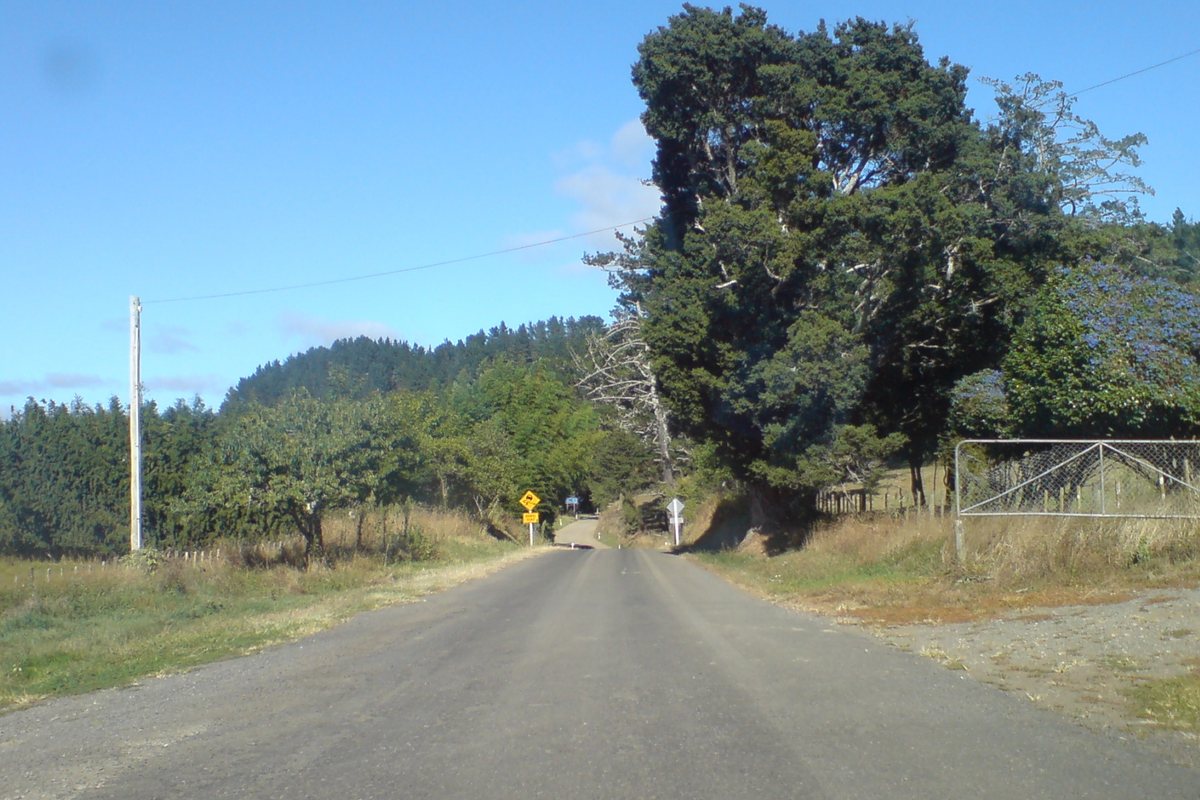 The narrow winding Tapu-Coroglen Road crossing the Coromandel Range