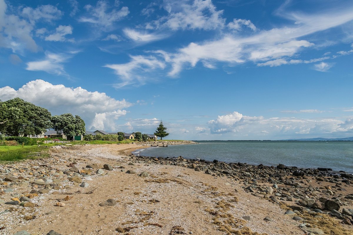Stony and sandy shore of the Firth of Thames at Thames