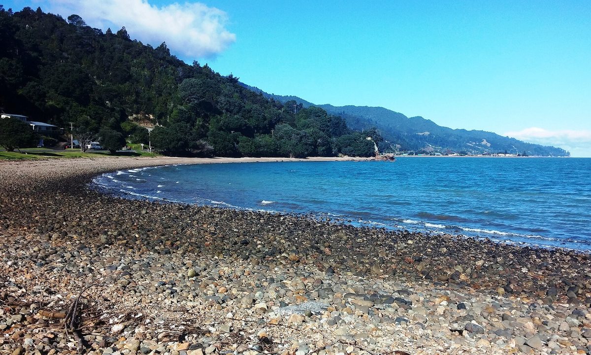 The shingle-and-sand shore at Waiomu, north of Thames